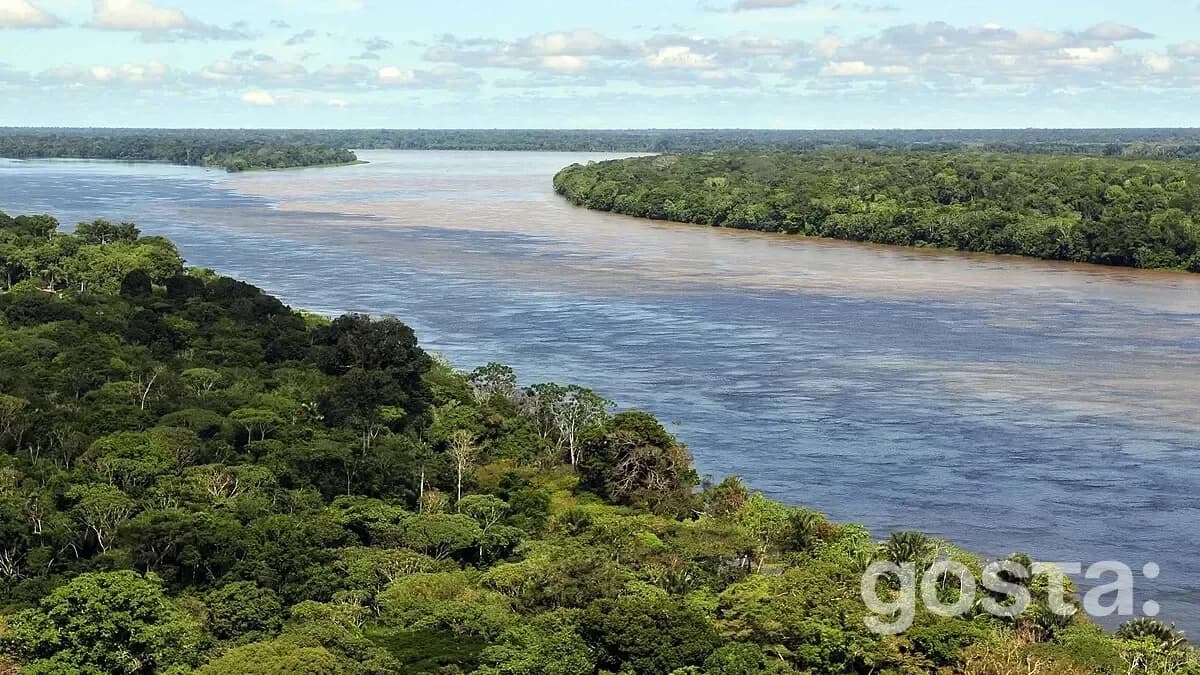 15 Interesting Facts About the Amazon river