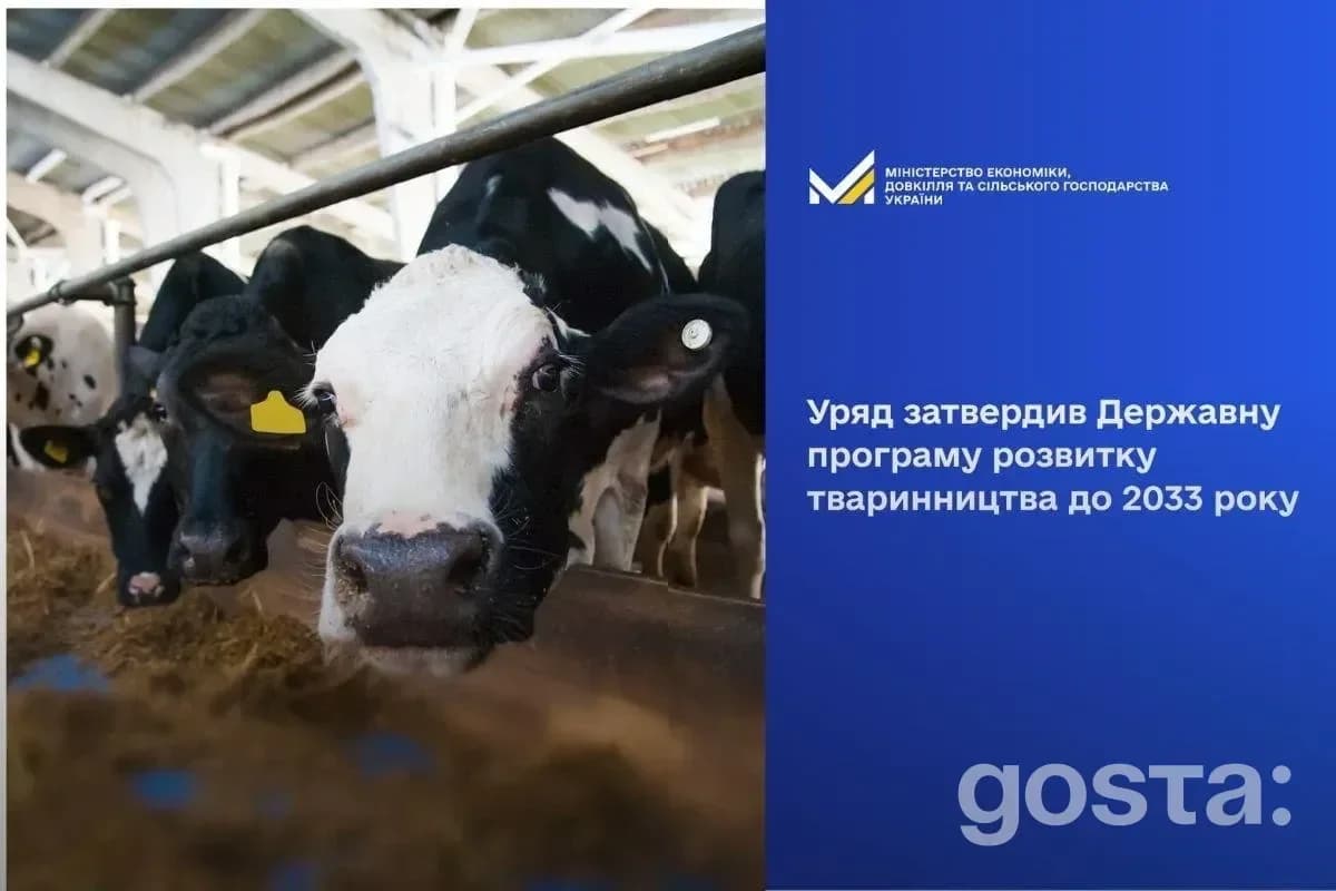 Кабмін затвердив програму розвитку тваринництва до 2033 року: що зміниться для фермерів і споживачів?