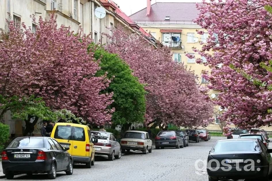 Що подивитися в Ужгороді – 7 визначних місць: Малий Галагов