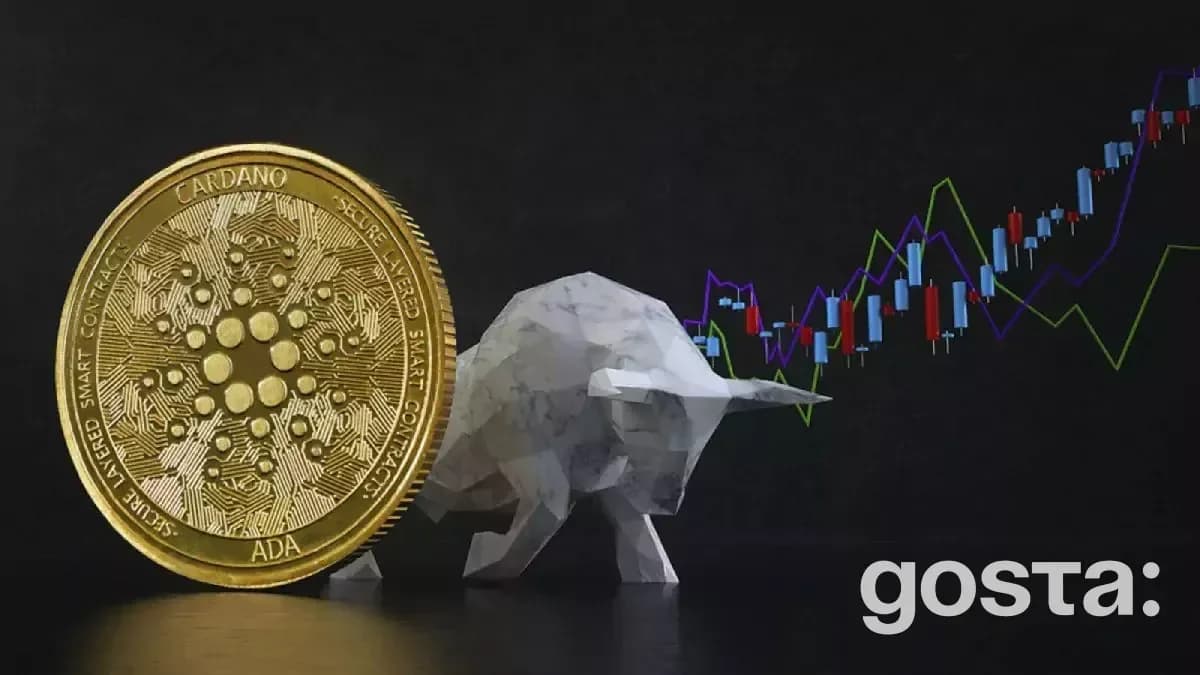 Cardano – детальний опис