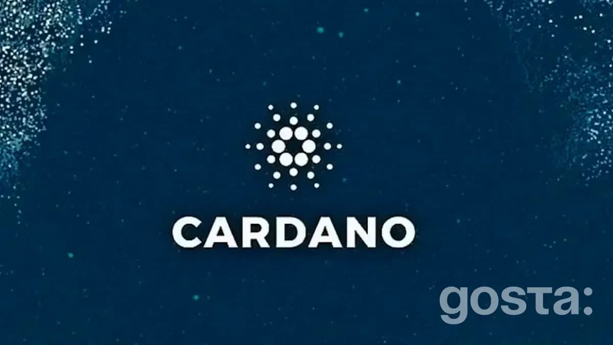 Переваги та недоліки Cardano