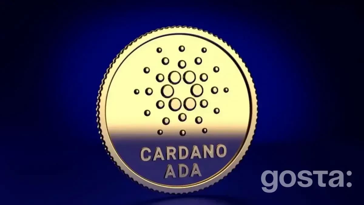 Хто створив Cardano?