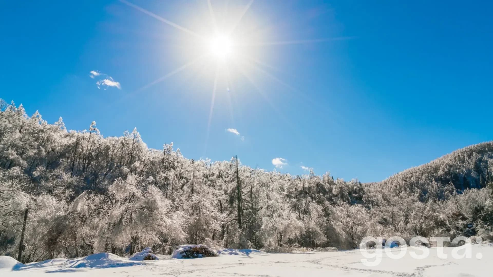 gosta den zymovoho sontsestoiannia