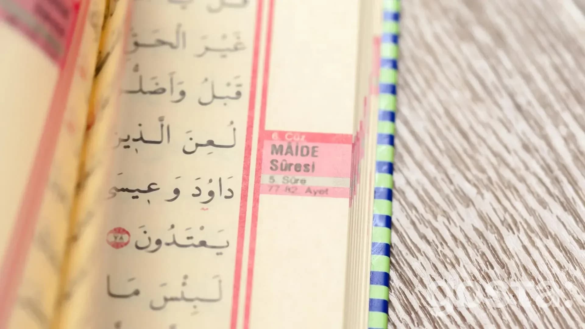 gosta mizhnarodnyi den arabskoi movy 2