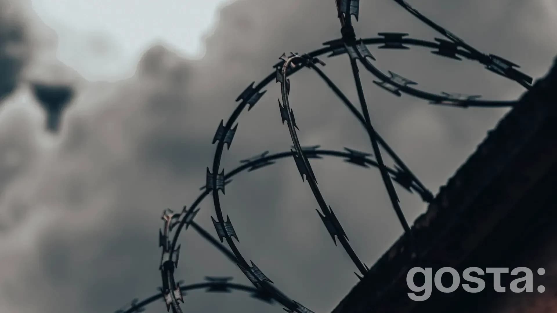 gosta mizhnarodnyi den pamiati zhertv henotsydu