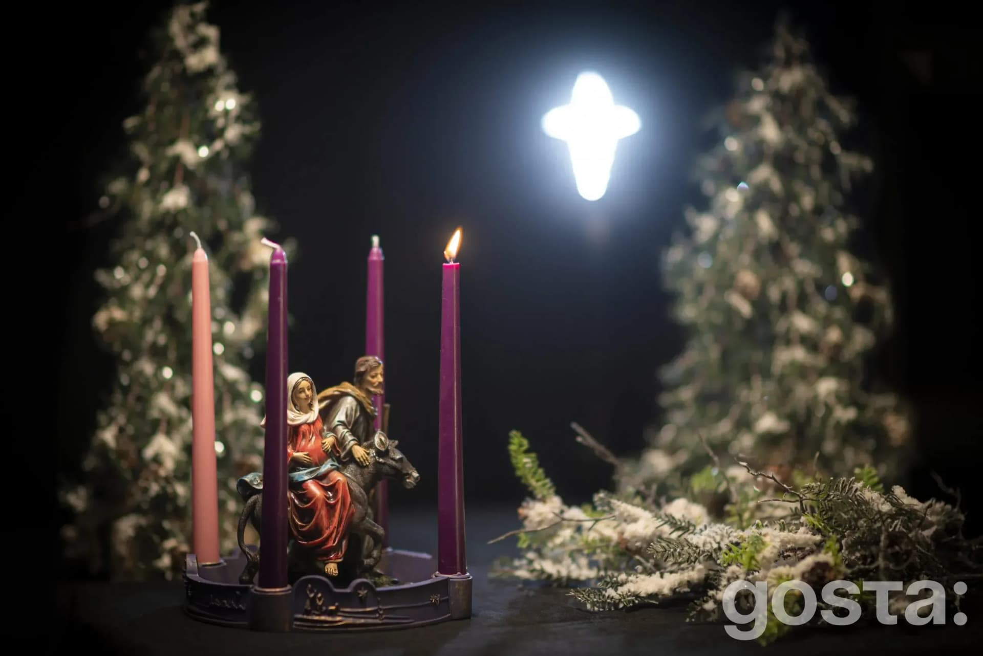 Holidays and observances in November