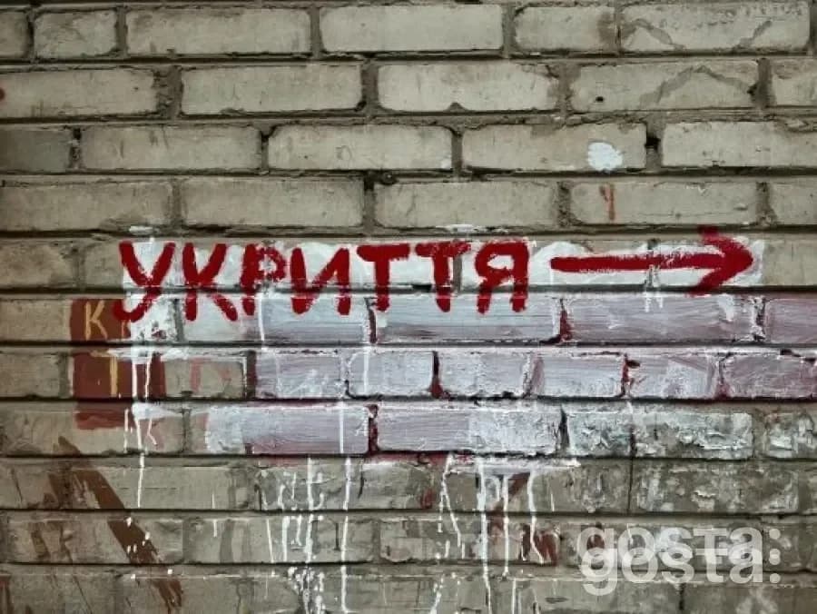 Дітей з собакою не впустили до укриття під час тривоги в Києві: резонансна ситуація