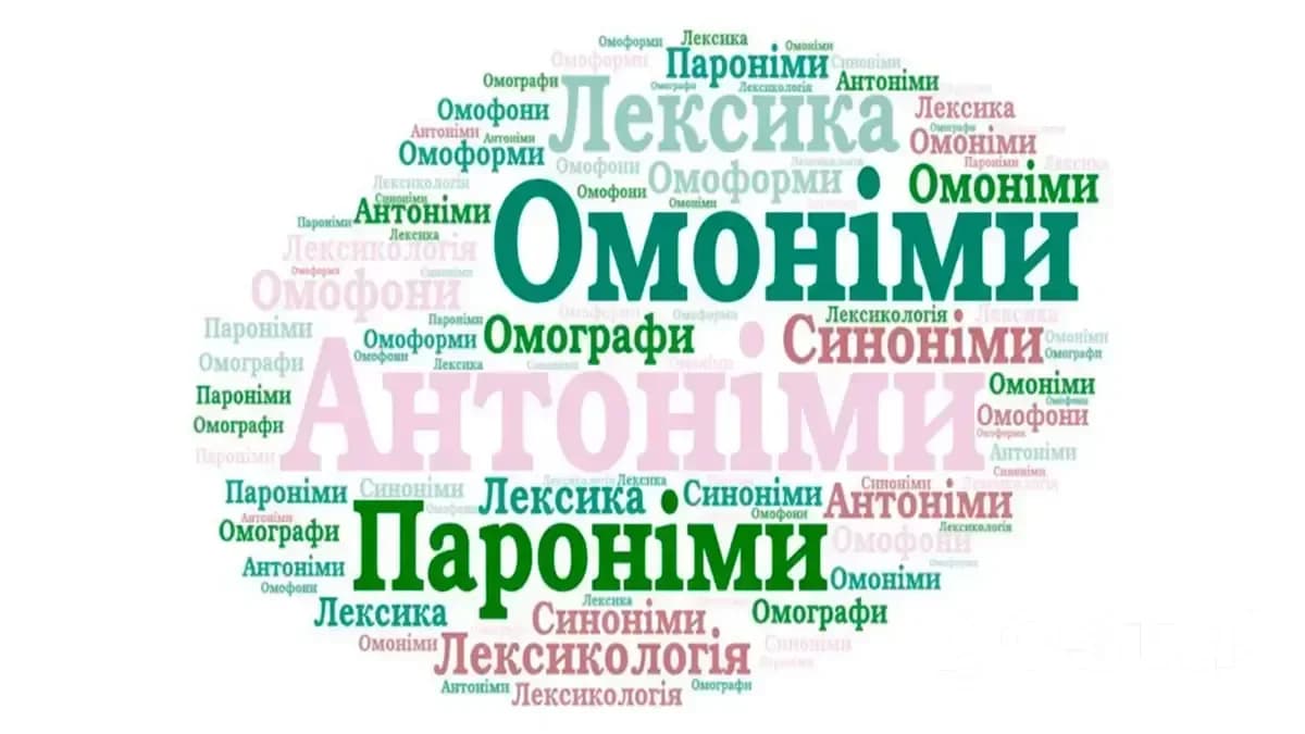 Омоніми та пароніми: в чому різниця?