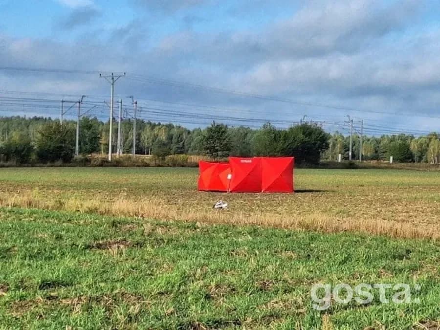 Вторгнення дронів на територію Польщі: нова загроза чи провокація?