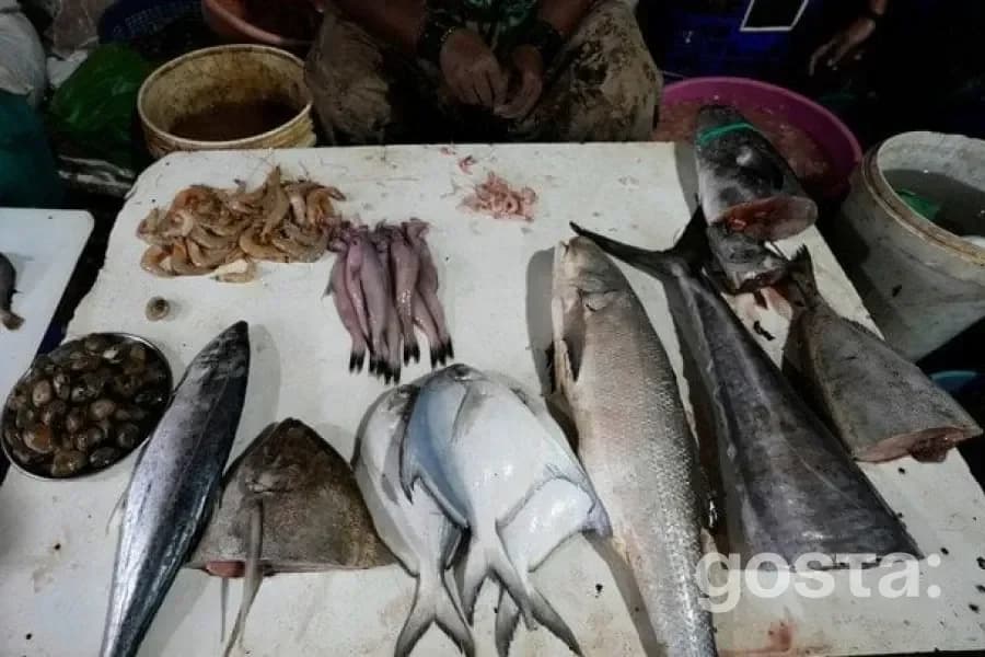Чому риба – один з найкорисніших продуктів для вашого здоров'я?