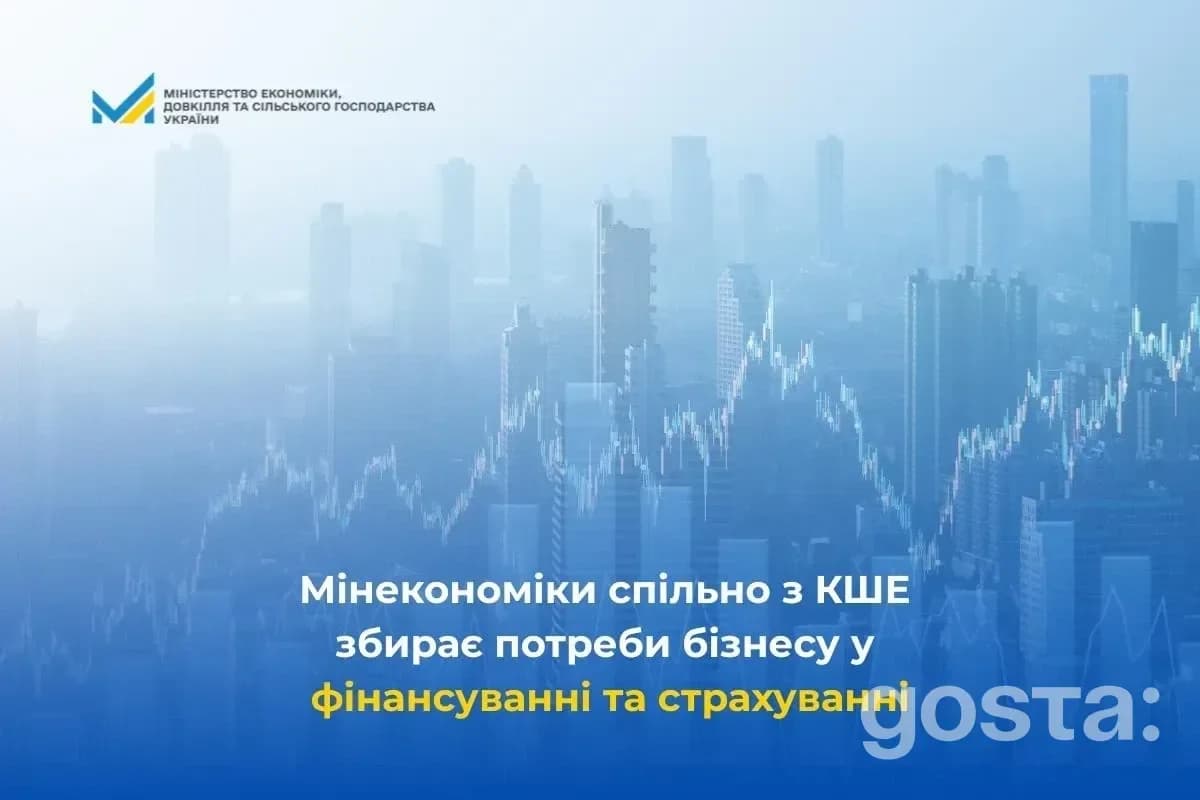 Опитування бізнесу про фінансування та страхування: держава збирає дані до кінця січня – як долучитися?