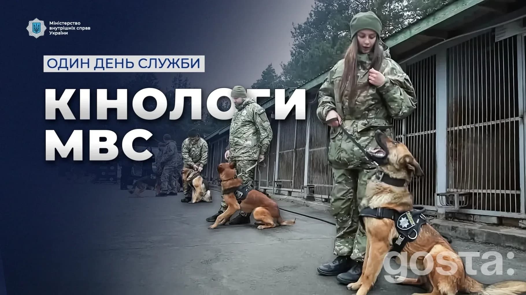 Службові собаки Національної поліції України: як один день у київському Кінологічному центрі перетворюється на безпеку м