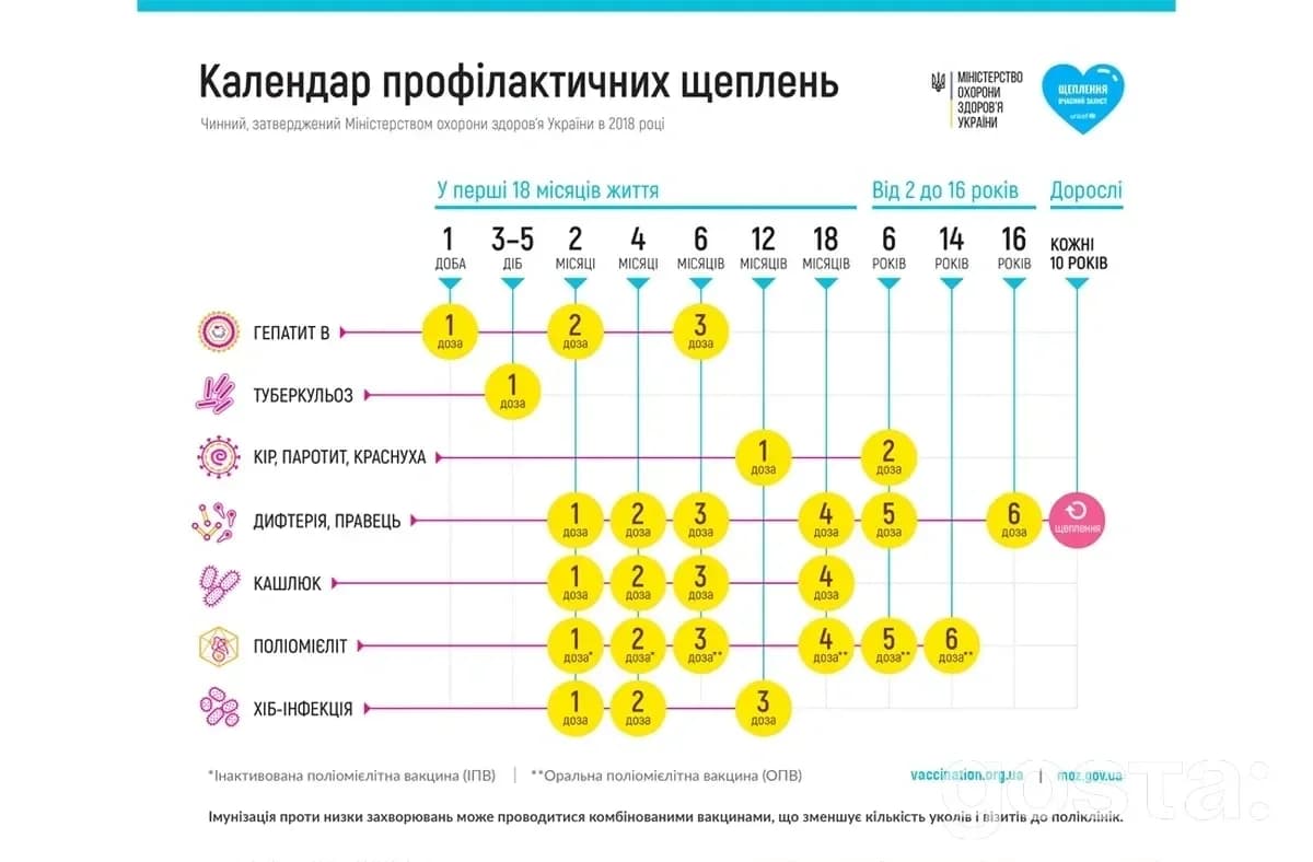 Календар щеплень: Календар вакцинації