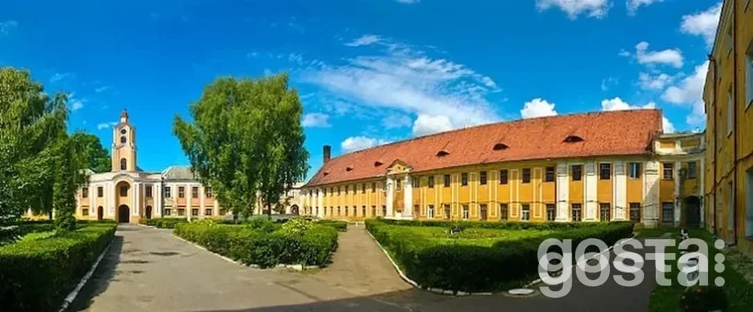 Як люди потрапляють до психіатричних лікарень в Україні?