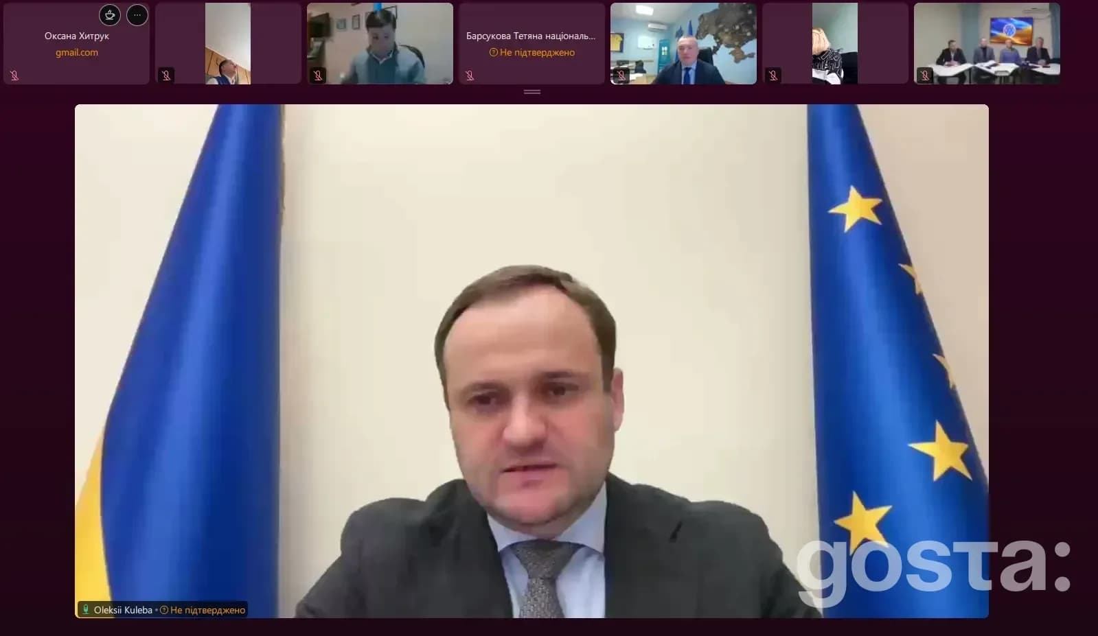 Онлайн-нарада щодо розвитку студентського спорту в Україні, учасники обговорюють проєкт «Пліч-о-пліч».