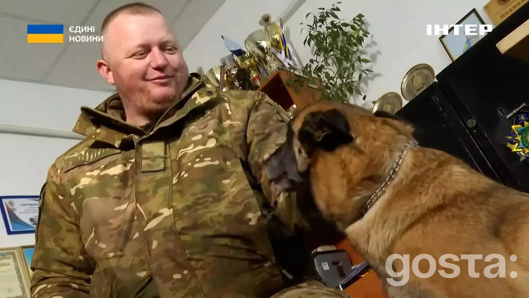 На зображенні кінолог Національної поліції України у формі спілкується зі службовою собакою, поряд відзнаки.
