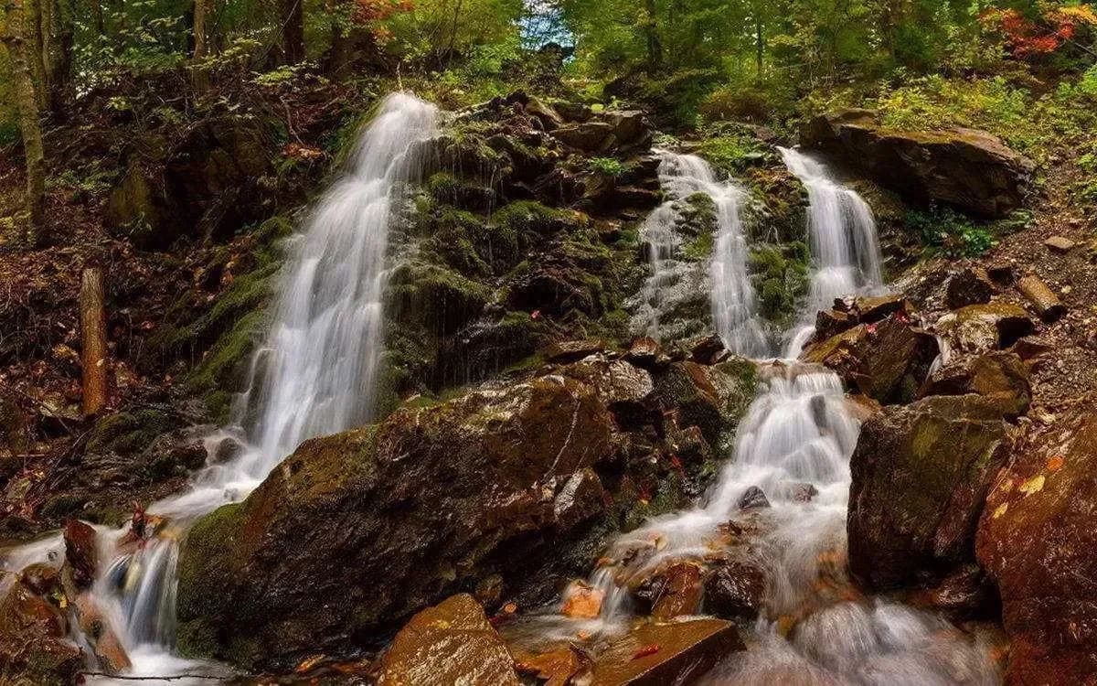 Найкращі водоспади Карпат – опис та фотографії: Водоспад Труфанець