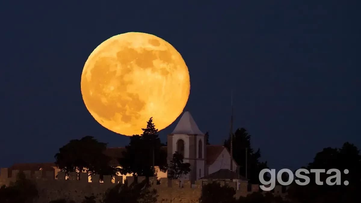 Lunar Calendar for August 2025 Finances
