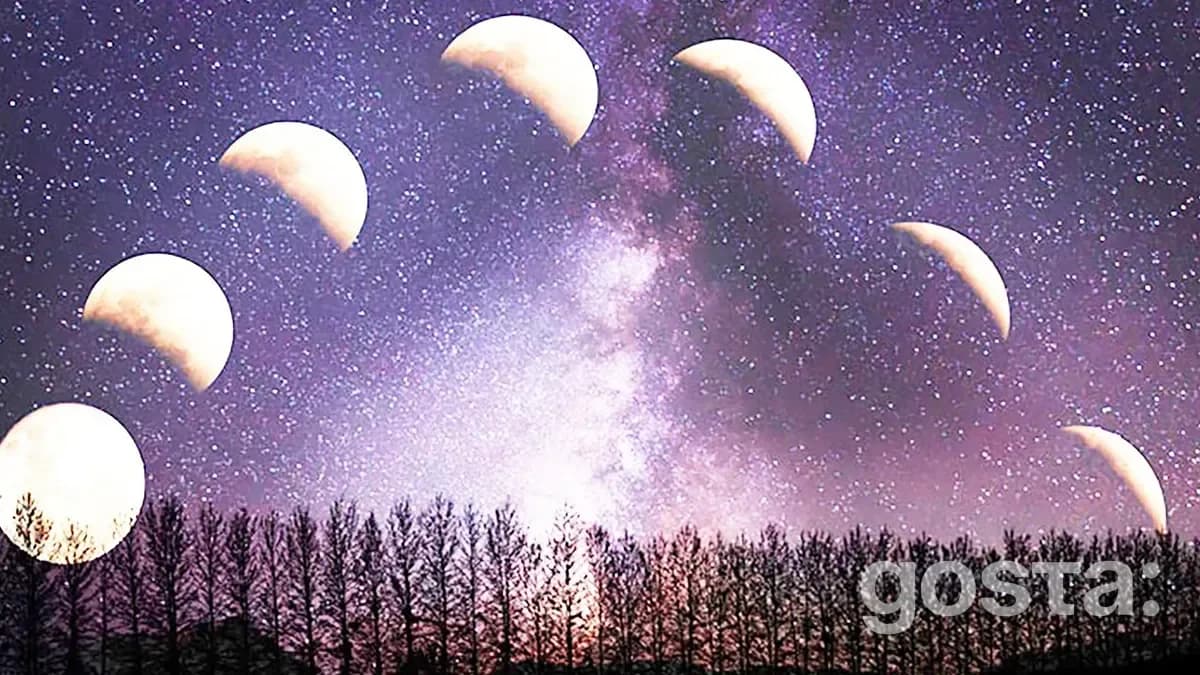 Lunar Calendar For February 2025 Lucky Days