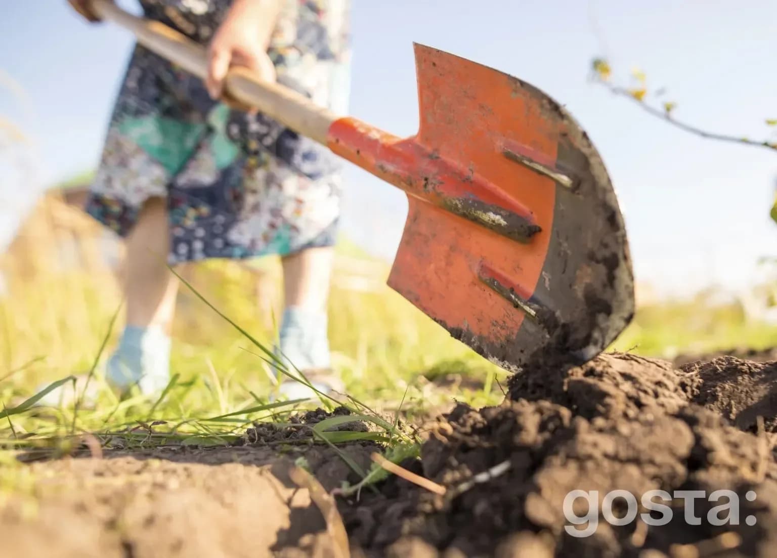 Lunar calendar for gardening