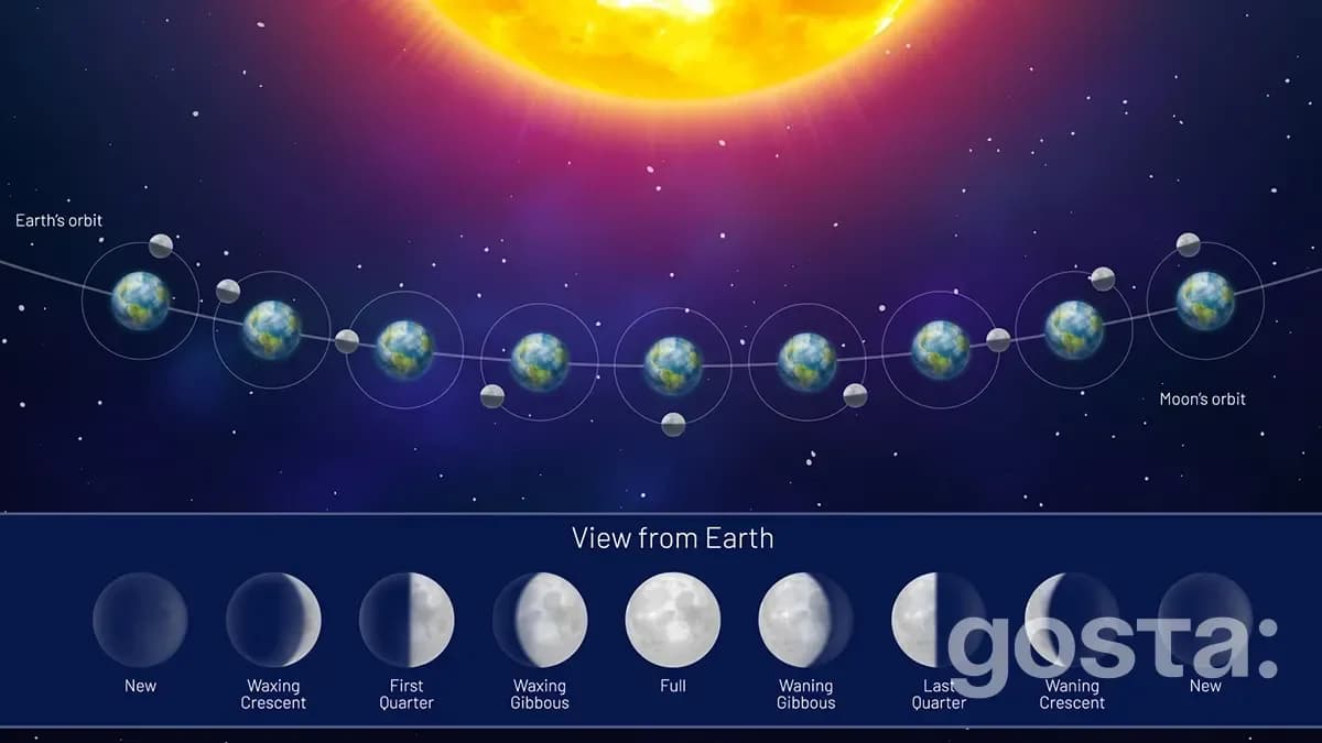 Lunar calendar for May 2025 sowing