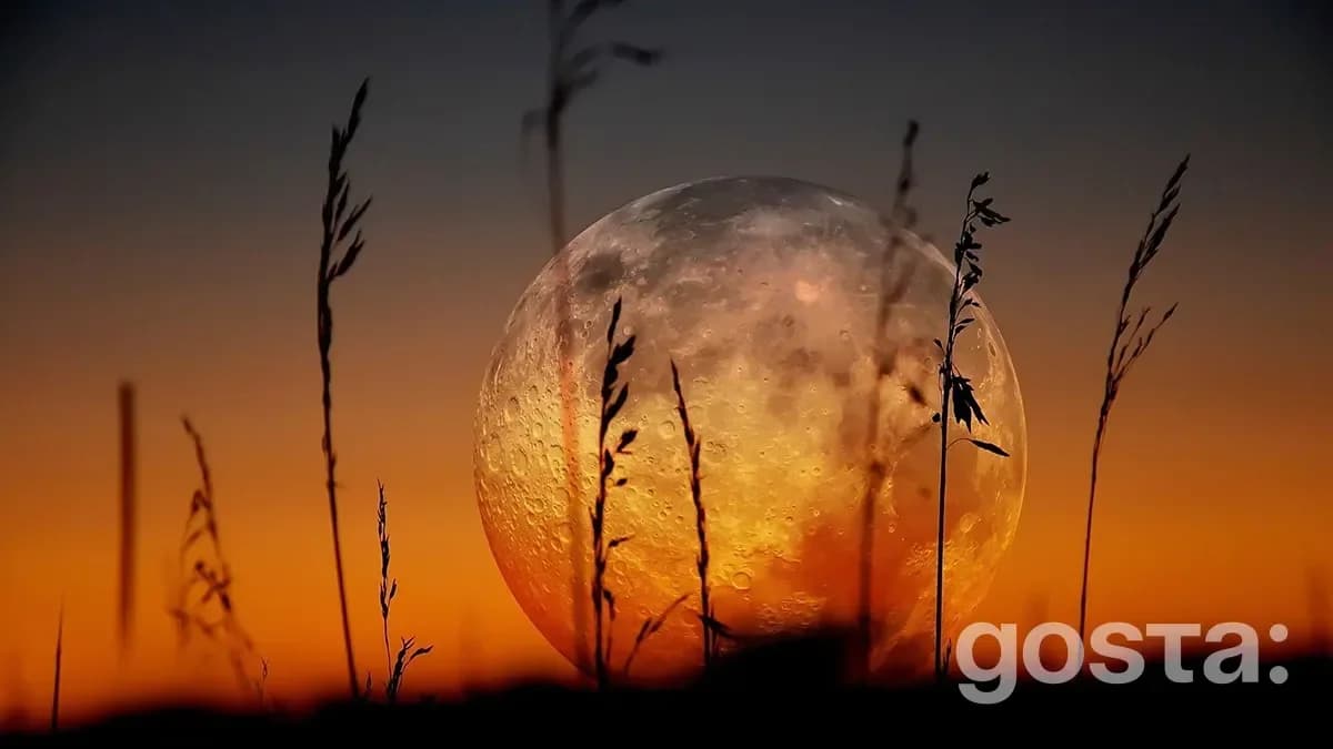 Lunar Calendar for November 2025