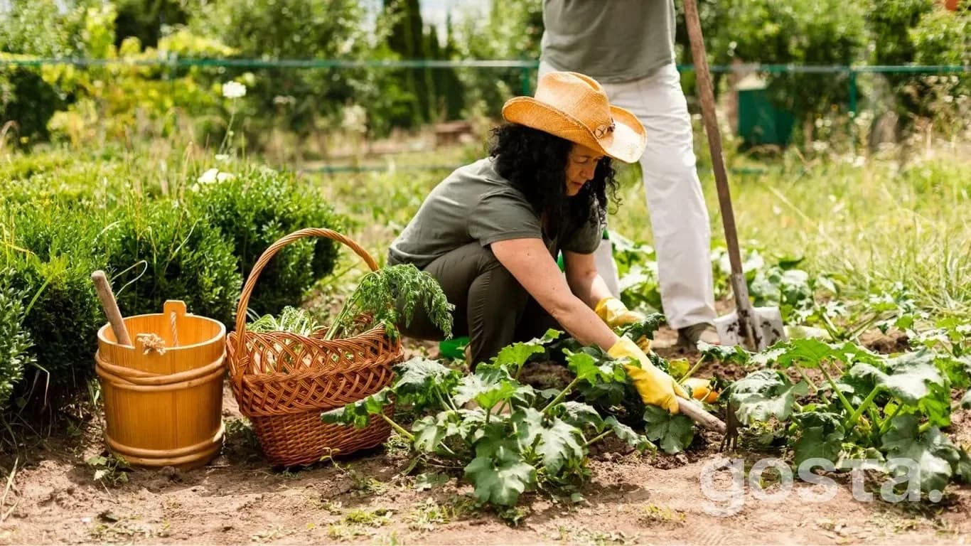 Lunar planting calendar for July