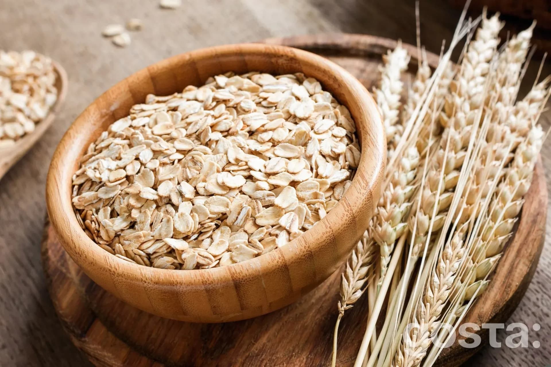 Plant proteins digest well