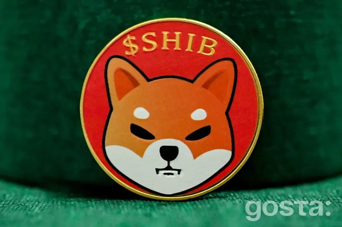 Shiba Inu (SHIB)