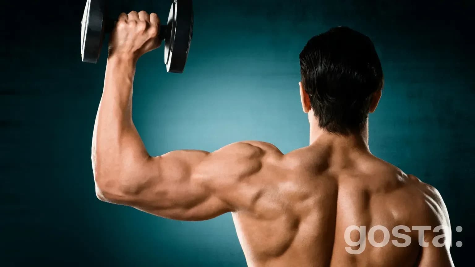 Shoulder Exercises