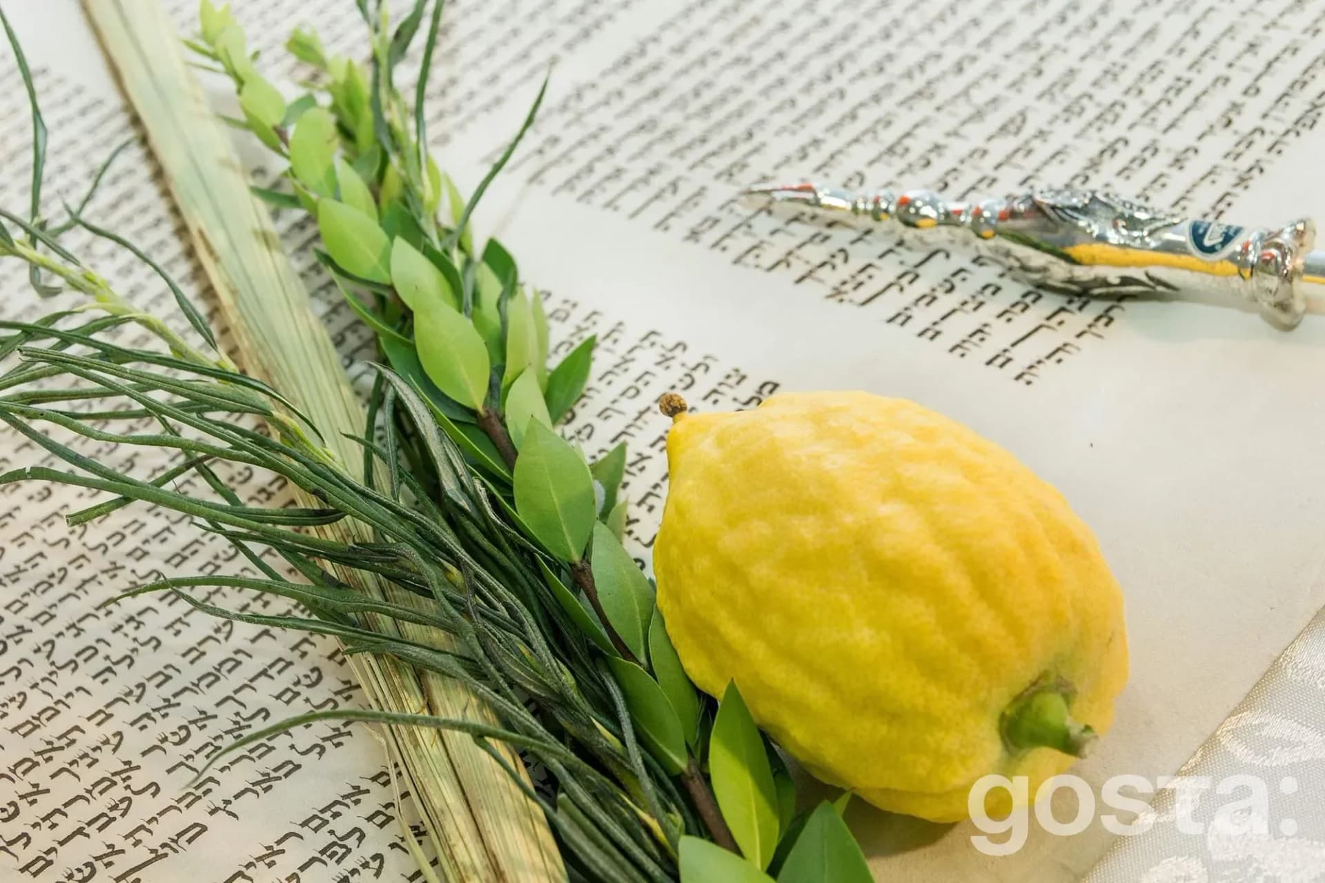 Sukkot, the Jewish feast of Tabernacles