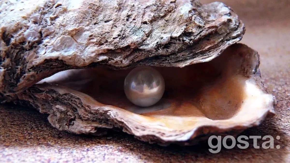 Types of Pearl Formation