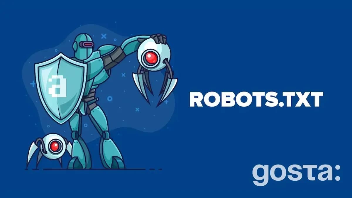 What is a robots.txt file
