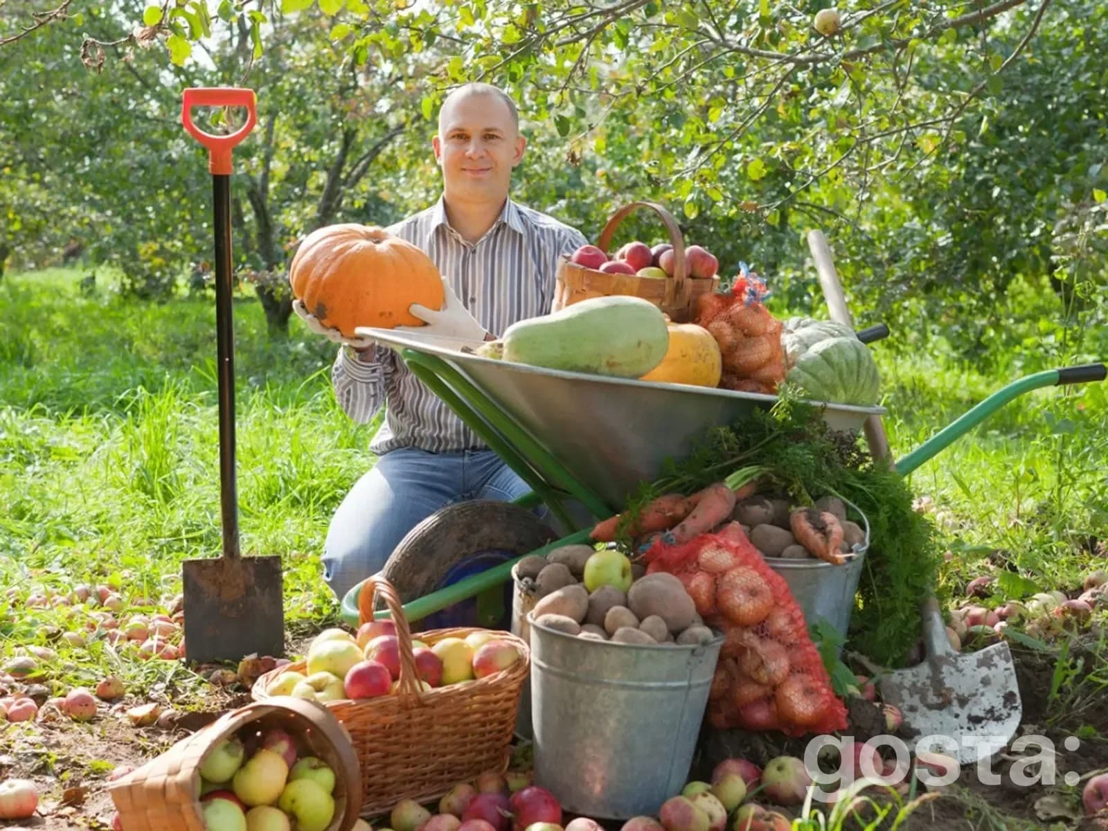 Lunar calendar for gardening for September 2025
