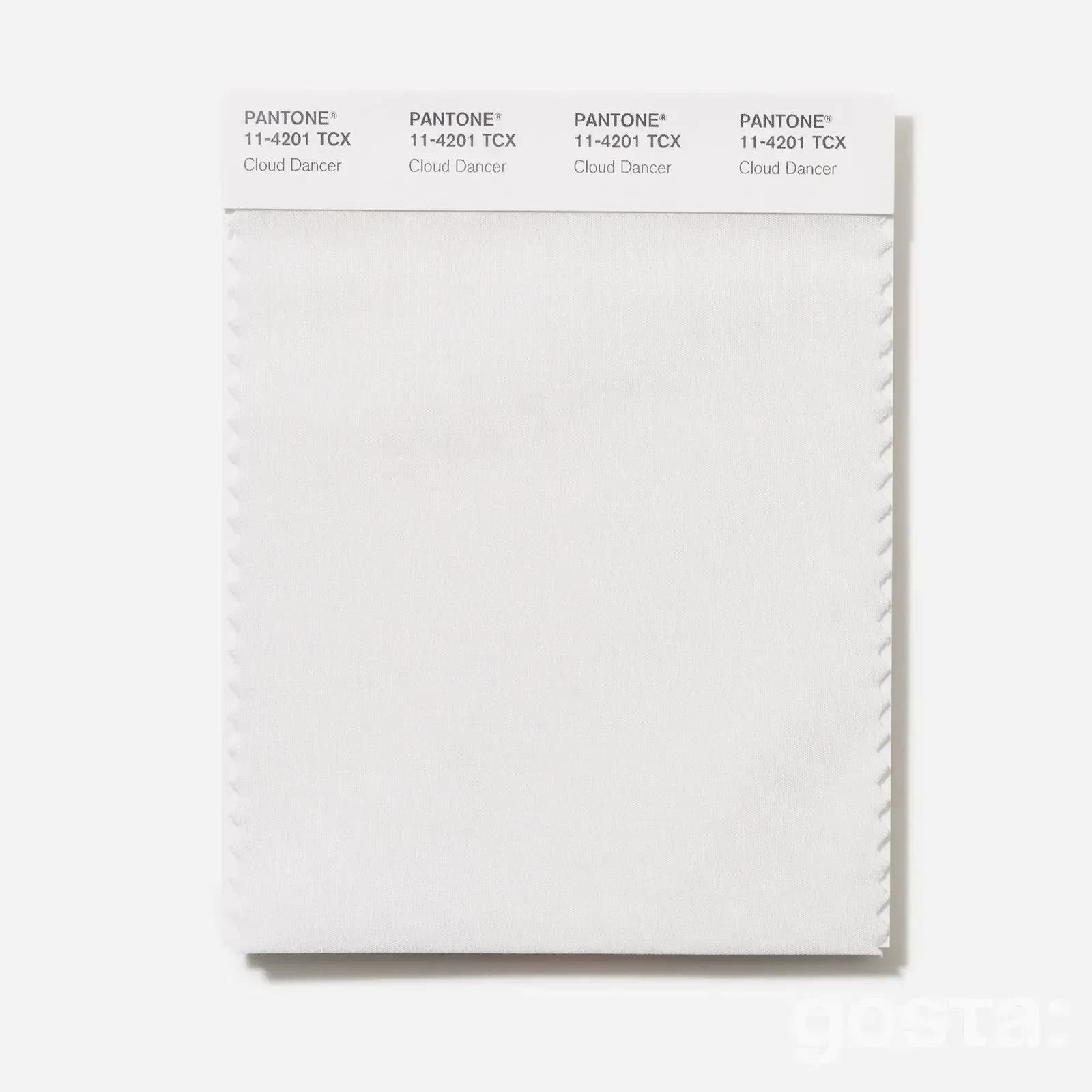 What Is the Pantone Color of 2026