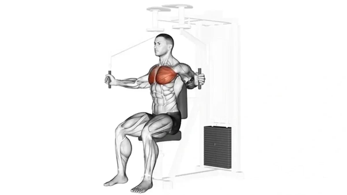 Chest Exercises – Comprehensive Chest Workout: Butterfly Exercise
