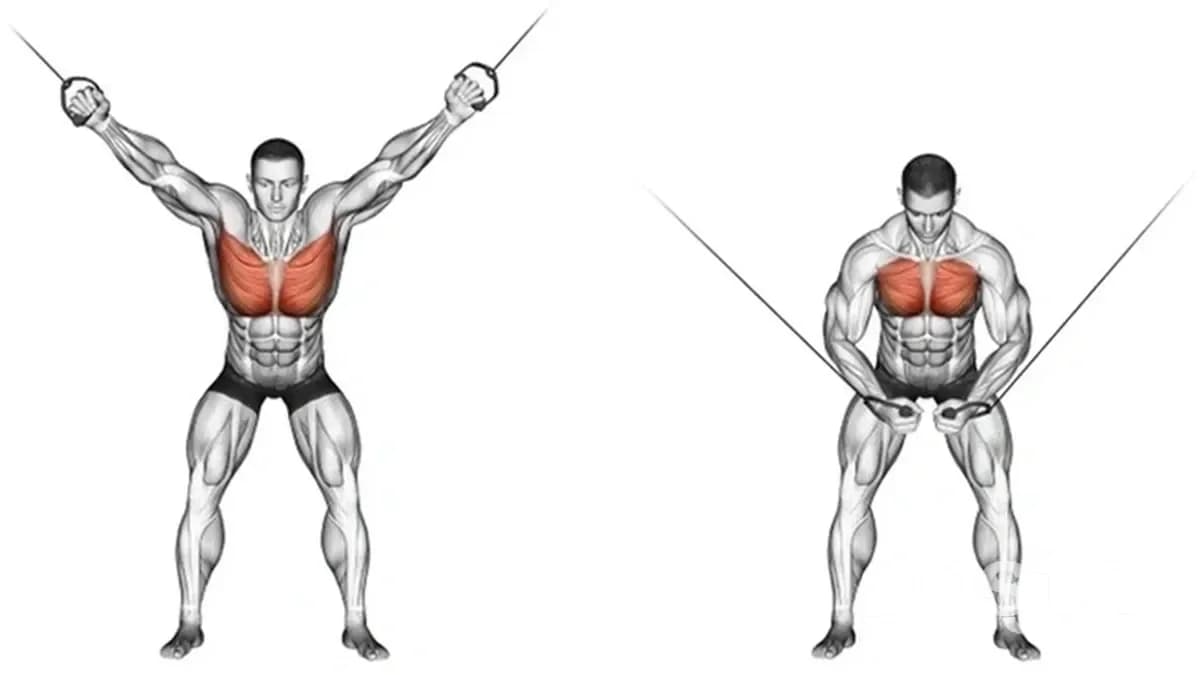 Chest Exercises – Comprehensive Chest Workout: Cable Crossover