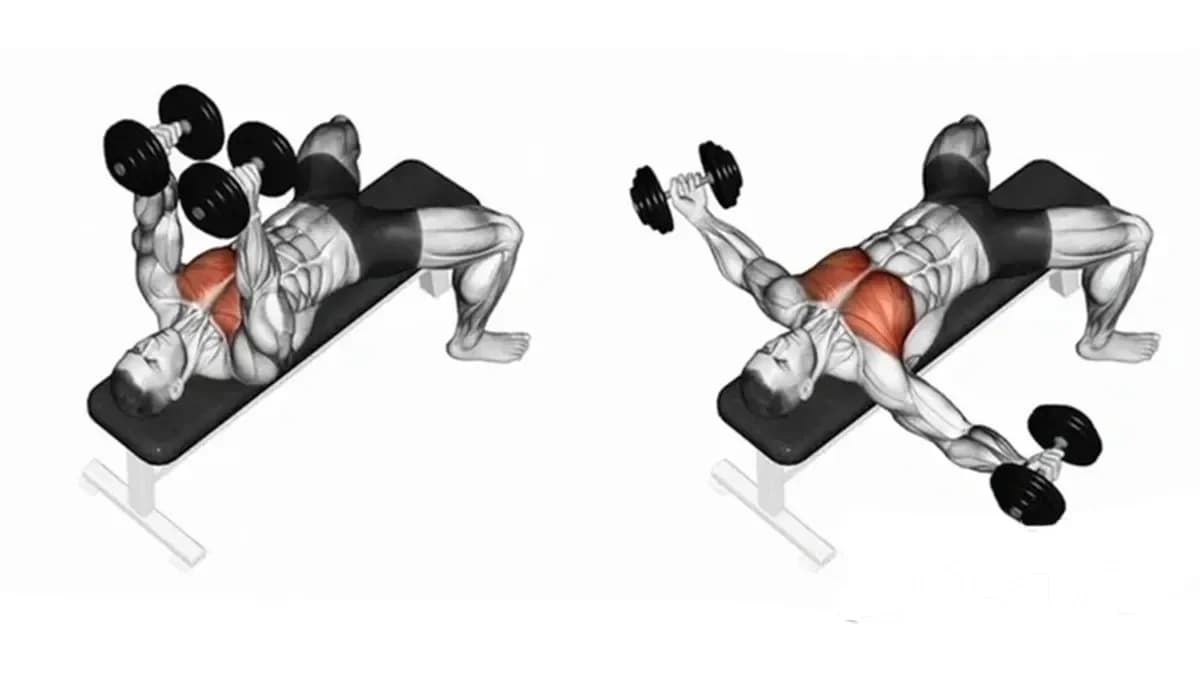 Chest Exercises – Comprehensive Chest Workout: Dumbbell Fly