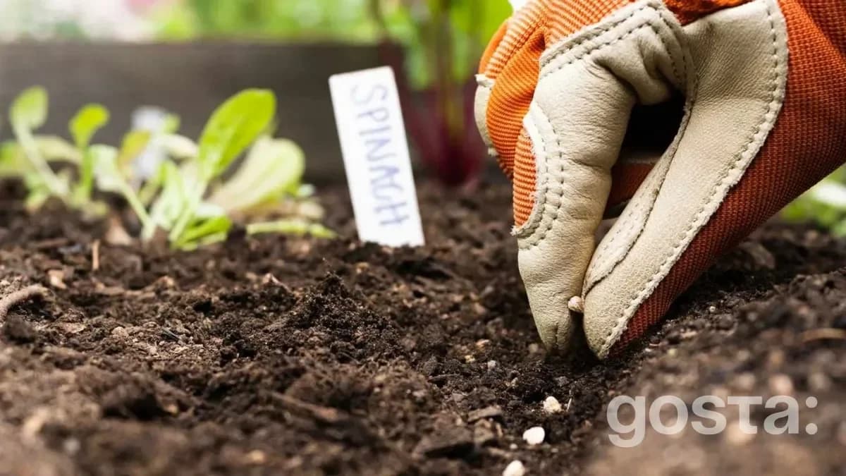 Favorable And Unfavorable Days For Planting – Moon Calendar Gardening For April 2025