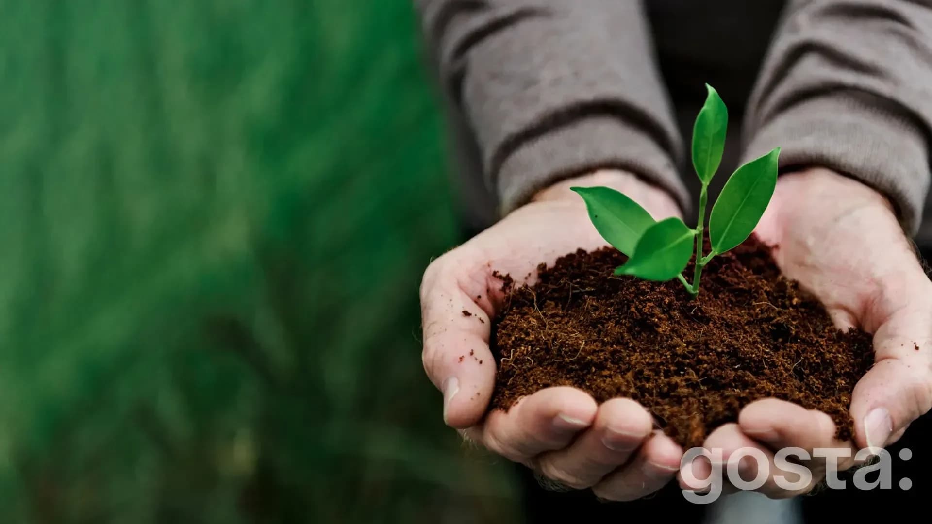 gosta den prohramy oon z navkolyshnoho seredovyshcha unep day