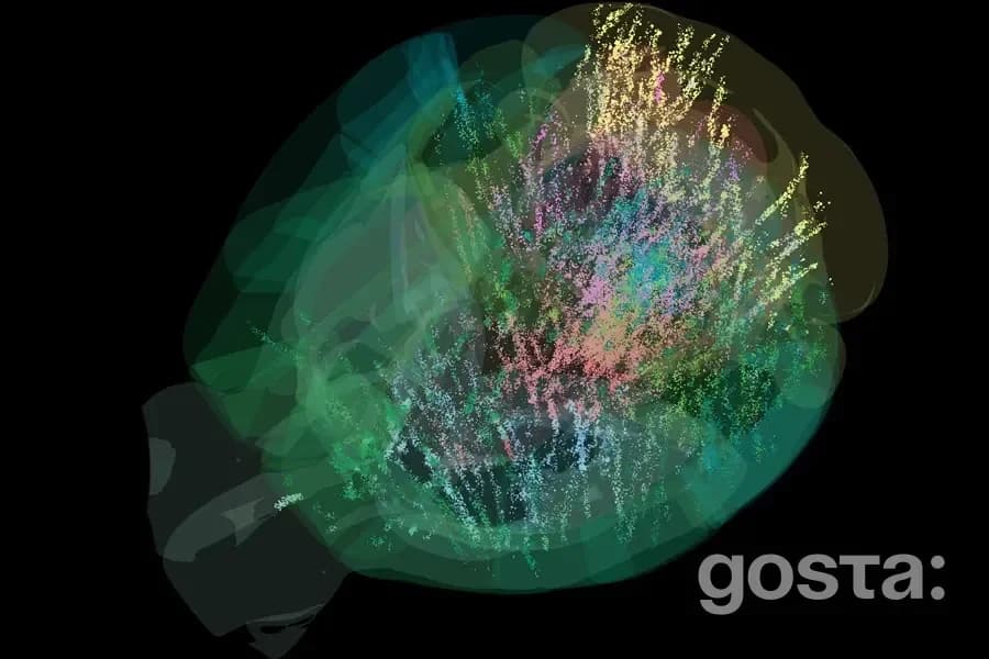 Перший детальний атлас активності мозку мишей: революція в нейронауці